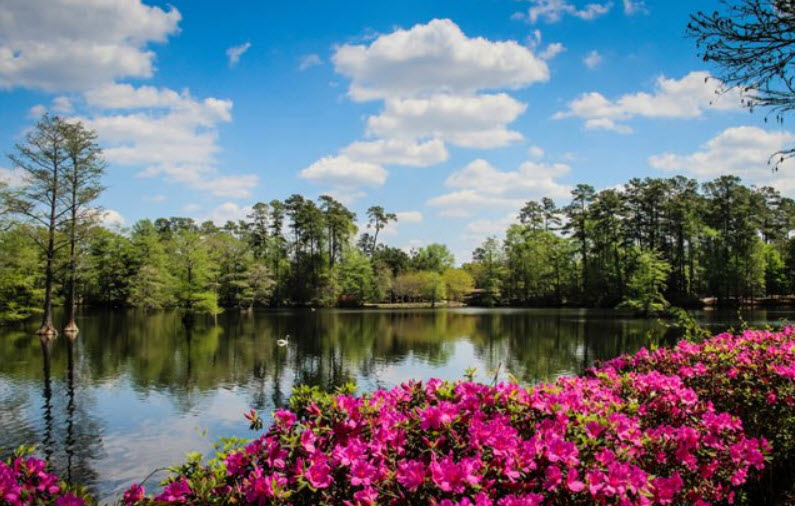 Swan Lake Iris Gardens, United States